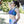 Mystical AF Pattern Padded Sports Bra